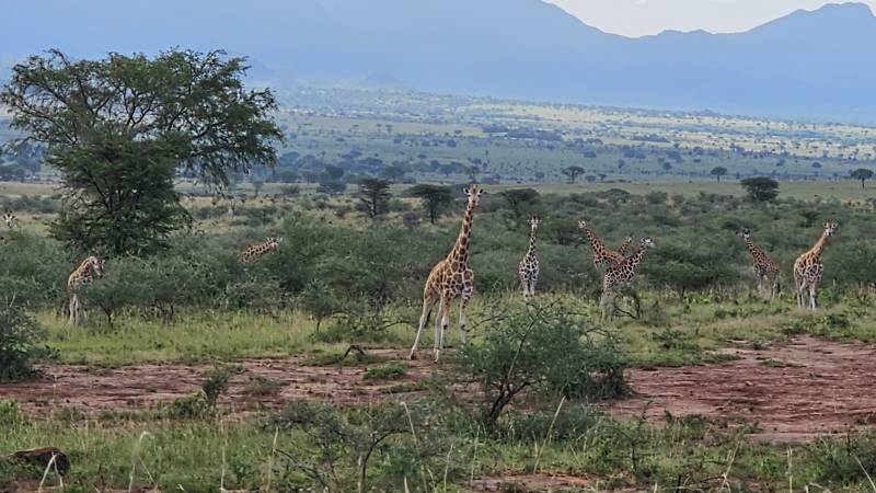 uganda-kidepo-national-park